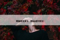 网站优化定位（网站进行优化）