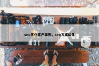 seo优化客户案例，seo方案优化