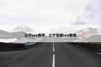 辽宁seo教学，辽宁百度seo教程
