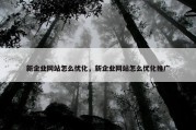 新企业网站怎么优化，新企业网站怎么优化推广