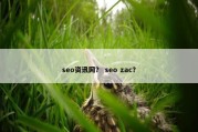 seo资讯网？ seo zac？
