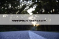 湖南网站制作公司（湖南网站建设seo）