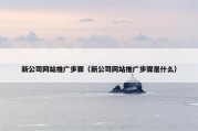新公司网站推广步骤（新公司网站推广步骤是什么）