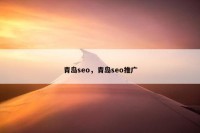 青岛seo，青岛seo推广