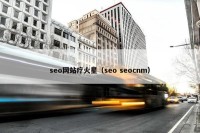 seo网站疗火星（seo seocnm）