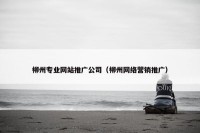 柳州专业网站推广公司（柳州网络营销推广）