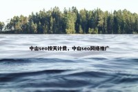 中山seo按天计费，中山seo网络推广