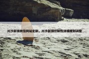 川沙新镇微信网站定制，川沙新镇控制性详细规划调整