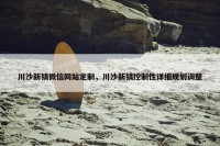 川沙新镇微信网站定制，川沙新镇控制性详细规划调整