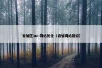 青浦区360网站优化（青浦网站建设）