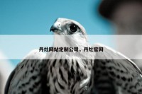 丹灶网站定制公司，丹灶官网