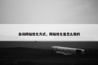 自动网站优化方式，网站优化是怎么做的