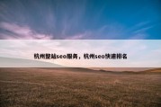 杭州整站seo服务，杭州seo快速排名