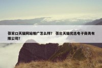 张家口天猫网站推广怎么样？ 张北天猫优选电子商务有限公司？