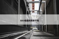 SEO程度的简单介绍