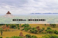 国际化媒体seo（国际化媒体有哪些）