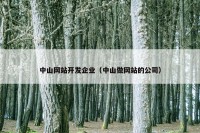 中山网站开发企业（中山做网站的公司）