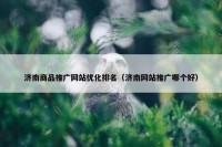 济南商品推广网站优化排名（济南网站推广哪个好）