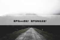 葫芦岛seo排名？ 葫芦岛知名企业？