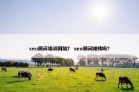 seo顾问培训网站？ seo顾问赚钱吗？
