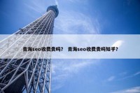 青海seo收费贵吗？ 青海seo收费贵吗知乎？