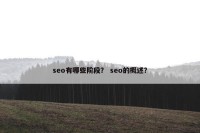 seo有哪些阶段？ seo的概述？