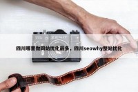 四川哪里做网站优化最多，四川seowhy整站优化