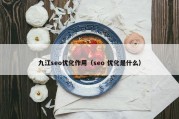 九江seo优化作用（seo 优化是什么）
