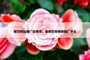 餐饮网站推广选哪家，做餐饮有哪些推广平台