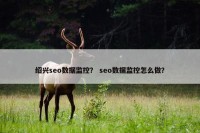 绍兴seo数据监控？ seo数据监控怎么做？