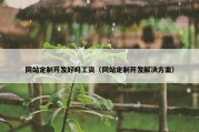 网站定制开发好吗工资（网站定制开发解决方案）