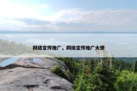 网络宣传推广，网络宣传推广大使