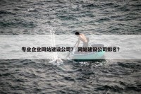 专业企业网站建设公司？ 网站建设公司排名？