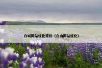 白城网站优化报价（白山网站优化）
