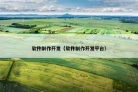 软件制作开发（软件制作开发平台）
