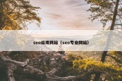 seo应用网站（seo专业网站）