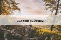 seo应用网站（seo专业网站）
