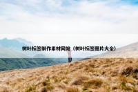 树叶标签制作素材网站（树叶标签图片大全）