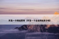 开发一个网站费用（开发一个企业网站多少钱）