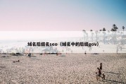域名后缀名seo（域名中的后缀gov）