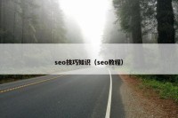 seo技巧知识（seo教程）