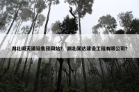 湖北闻天建设集团网站？ 湖北闻达建设工程有限公司？