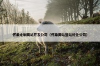 怀柔定制网站开发公司（怀柔网站整站优化公司）