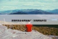 资阳科技企业网站推广（资阳网站开发）