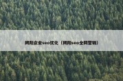 揭阳企业seo优化（揭阳seo全网营销）