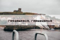 广州专业网站开发公司，广州网站建设制作公司