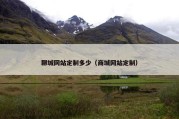 聊城网站定制多少（商城网站定制）