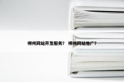 柳州网站开发服务？ 柳州网站推广？