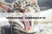有源码宝塔如何建站？ 宝塔面板源码怎么弄下来？