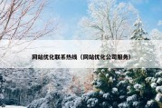 网站优化联系热线（网站优化公司服务）